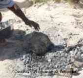 Cooking a damper recipe on a fire - hand adjusting cooking to open famp fire