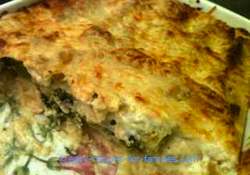 Easy Italian Recipes - Spinach Cannelloni