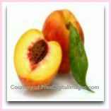 ripe peaches to make this easy peach cobbler recipe