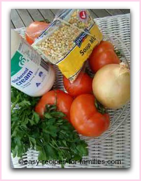 Ingredients for this easy tomato soup recipe