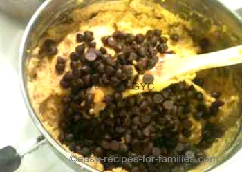 Add chocolate chips to the mixture