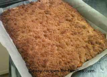 Last layer of crumble for these pumpkin pie squares