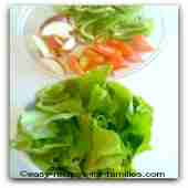 Beautiful green lettuce for easy salad recipes